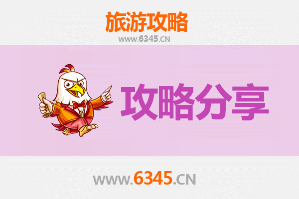 石河子旅游攻略：跟团游与自由行全方位对比
